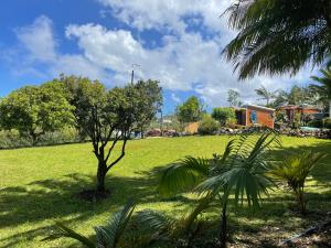 un campo verde con una palmera y una casa en L'escapade créole Jacuzzi Privatif Bungalow Vanille en Saint-Joseph