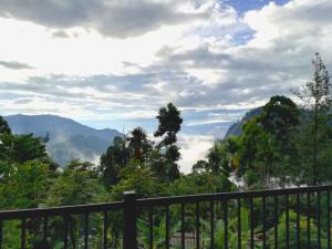 Landskap semula jadi dekat dengan rumah tamu ini