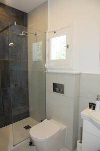 a bathroom with a toilet and a glass shower at BLUE SKY COTTAGE, Kanouli beach in Halikounas