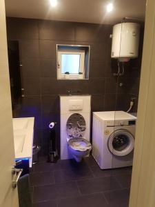 ein kleines Bad mit einer Waschmaschine und einem WC in der Unterkunft Seaview Apartment Moritz in Senj