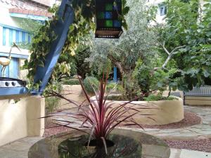 une plante dans un bol en verre dans un jardin dans l'établissement Chez Gillou, à Boën