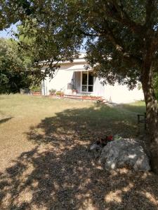 Zahrada ubytování Casa Sofia