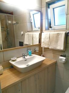 uma casa de banho com um lavatório e um espelho em ASTER apartman Bor em Bor