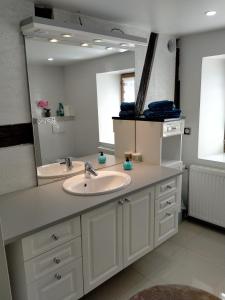 baño con lavabo y espejo grande en Passage des Romains studio en Horbourg