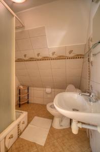 a bathroom with a toilet and a sink at Willa Knieja in Murzasichle