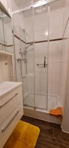 een douche met een glazen deur in een badkamer bij Gästehaus Jacobs in Bliesdorf +11 foto's