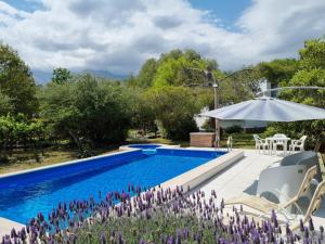 a swimming pool with an umbrella and purple flowers at Cabanias El Aguaribay in San Javier