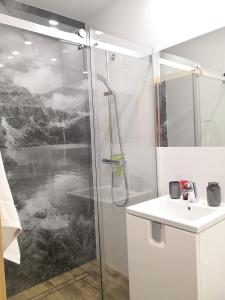 a bathroom with a shower and a sink at Dom między górami in Bukowina Tatrzańska