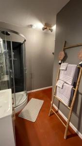 a bathroom with a shower and a ladder with towels at Le Troglo'Gîte, 500m à pied du Zoo de Beauval in Seigy