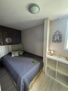 Dormitorio pequeño con cama y estante en Caze bois flotté en Petite Île