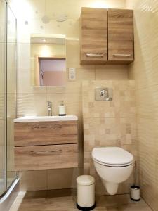 a bathroom with a toilet and a sink and a mirror at Apartment GLAMOUR Downtown balcony FREE PARKING SPACE in Krakow +30 photos