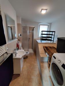 Kuchyň nebo kuchyňský kout v ubytování Havel Suites