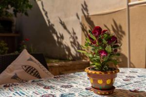 A garden outside La Palma