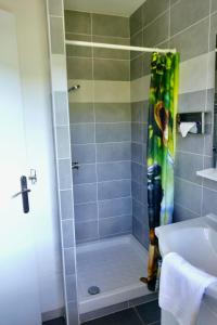 een badkamer met een douche en een wastafel bij Hôtel Le Blainon in Auron