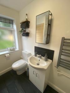 a bathroom with a toilet and a sink and a mirror at Lovely 1-bedroom apartment with garden and parking in Stone