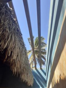 una ventana con vistas a una palmera en Chalés Bons Ventos - Icaraizinho en Icaraí