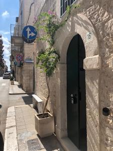 a tree in a pot next to a building at La piccola casa di Tania in Terlizzi