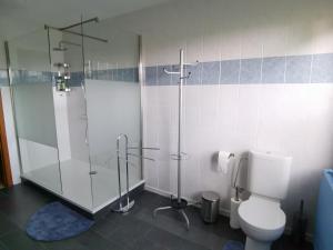 a bathroom with a glass shower and a toilet at Les Sittelles - Tilff in Esneux