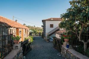 Casa Jacinta con jacuzzi في أديخي: ساحة منزل بها نباتات الفخار