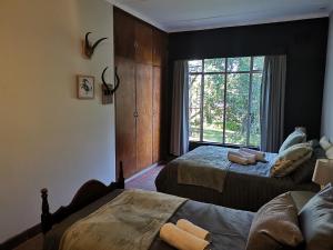 1 Schlafzimmer mit 2 Betten und einem Fenster in der Unterkunft Drakensberg Bush Lodge and Backpackers in Winterton