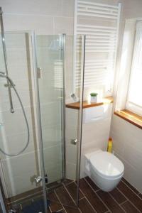 a bathroom with a glass shower and a toilet at Komfortappartement Robbe in Neuharlingersiel