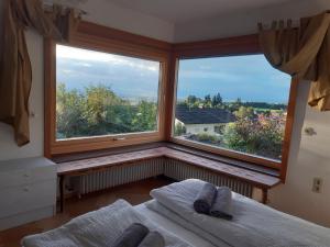 Příroda nedaleko apartmánu + 9 fotografií