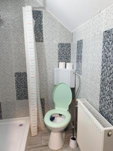 La salle de bains est pourvue de toilettes avec un siège vert. dans l'établissement Casa Cinema, à Braşov 23 autres photos