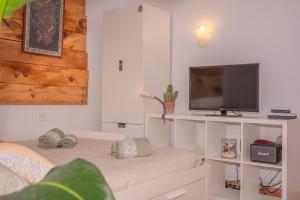 プンタ・デル・イダルゴにあるBeach Viewsの白い部屋(テレビ、ベッド付)