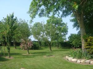 un parc avec des arbres et un champ d'herbe dans l'établissement les coquelicots, à Nibas