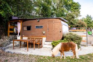 a horse eating grass in front of a trailer at Caravan on Ranch in Třebívlice