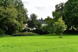 een boom in een veld met een huis op de achtergrond bij De Oude Limonadefabriek in Beek