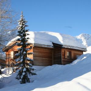 a log cabin in the snow with a christmas tree at Chalet Höckli Wohnung 2. in Arosa