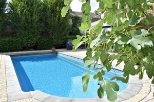 a swimming pool in a yard with a tree at De Oude Limonadefabriek in Beek