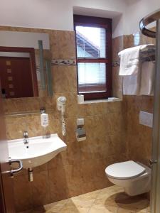 a bathroom with a sink and a toilet at KATERAIN hotel, restaurace, wellness in Opava