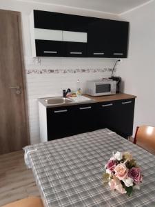 Kuchyň nebo kuchyňský kout v ubytování Helga Apartman