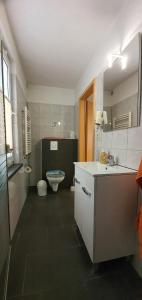 een badkamer met een wastafel en een toilet. bij Pension Lenz in Sassnitz