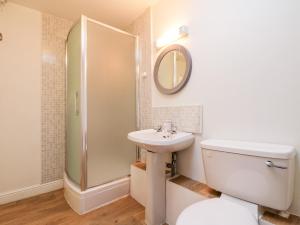 a bathroom with a shower and a toilet and a sink at Manor House Farm Cottage in Saltburn-by-the-Sea +15 photos