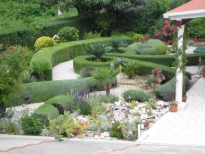 トルステノにあるSunny House Free Parkingの多種多様な植物と花を植えた庭園