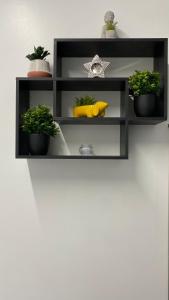 a shelf with potted plants on a wall at bvapartments-Queensgate 2 in Huddersfield