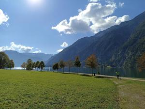 a person riding a bike in a field next to a lake at Ferienwohnung Stubenböck in Achenkirch