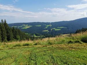 una vista de un campo de césped con montañas en el fondo en Ferienwohnungen Hebalm en Pack