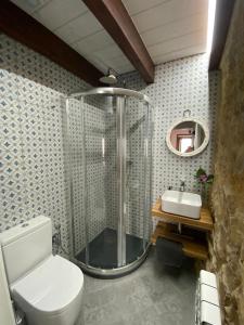 y baño con ducha, aseo y lavamanos. en Casa Rural Los Abuelos, en Piloña