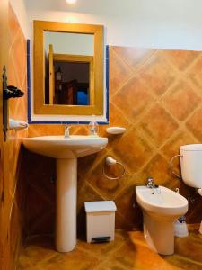 a bathroom with a sink and a toilet and a mirror at Apartamento Los Laureles in Laroles