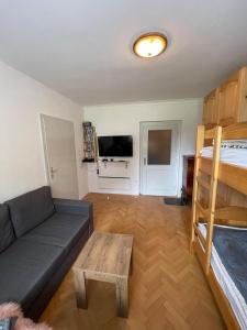 a living room with a couch and a bunk bed at APARTMA ODKLOP Rogla in Lukanja