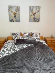 a bedroom with a bed with two paintings on the wall at APARTMA ODKLOP Rogla in Lukanja