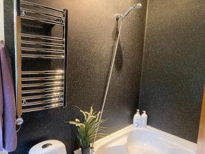 een badkamer met een douche en een bad bij Spikergade 6 in Tønder