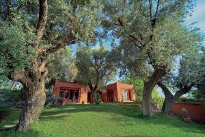 A garden outside MAROC LODGE Atlas Mountain Retreat