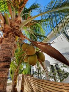 Φωτογραφία από το άλμπουμ του B2 APARTMENT with Balcony at JAN THIEL Curacao σε Jan Thiel