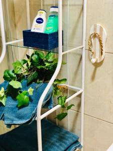 a towel rack with plants on it in a bathroom at Shanti, La Casa Azul in Palm-Mar