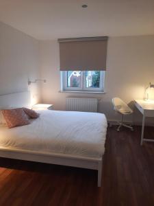 a bedroom with a bed and a desk and a window at Precioso apartamento, aparcamiento gratis in Augustusburg